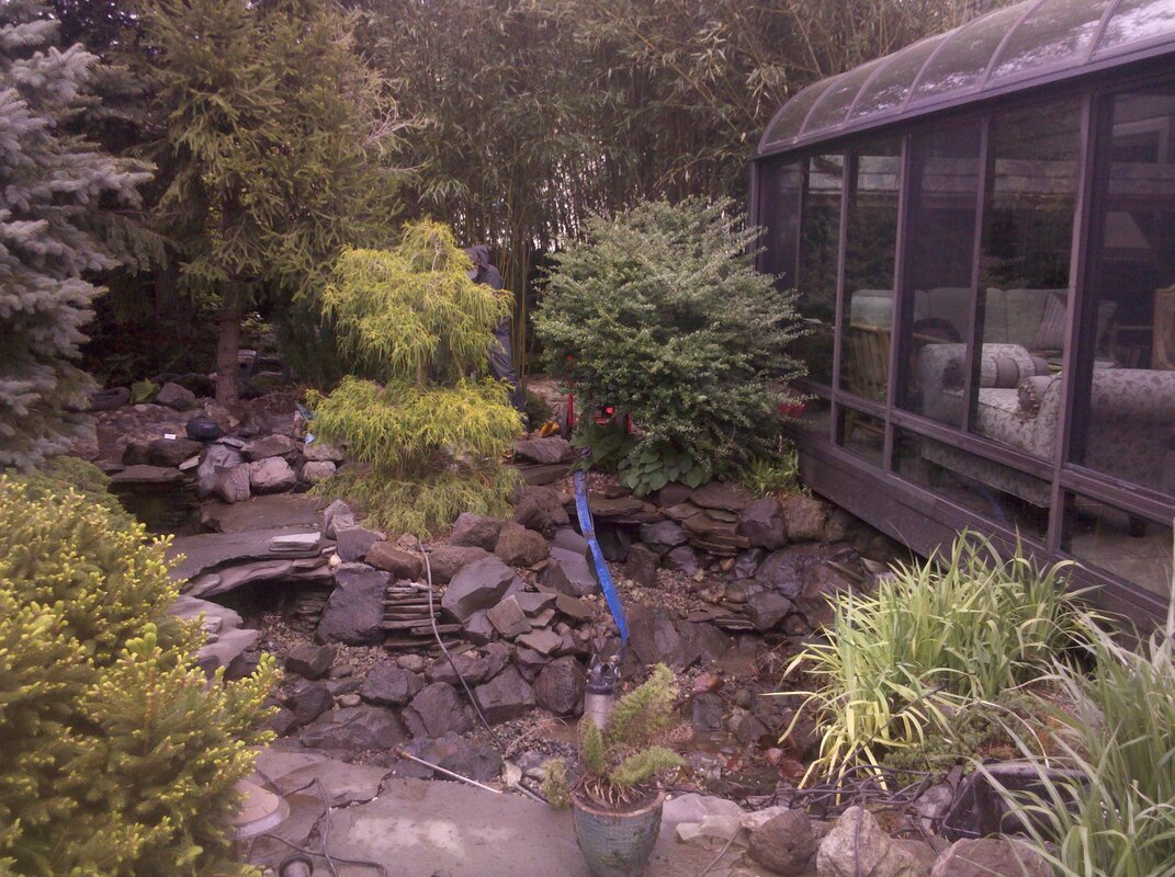 Atlantic Professional Pond Contractor Water Garden Maintenance & Cleaning Services